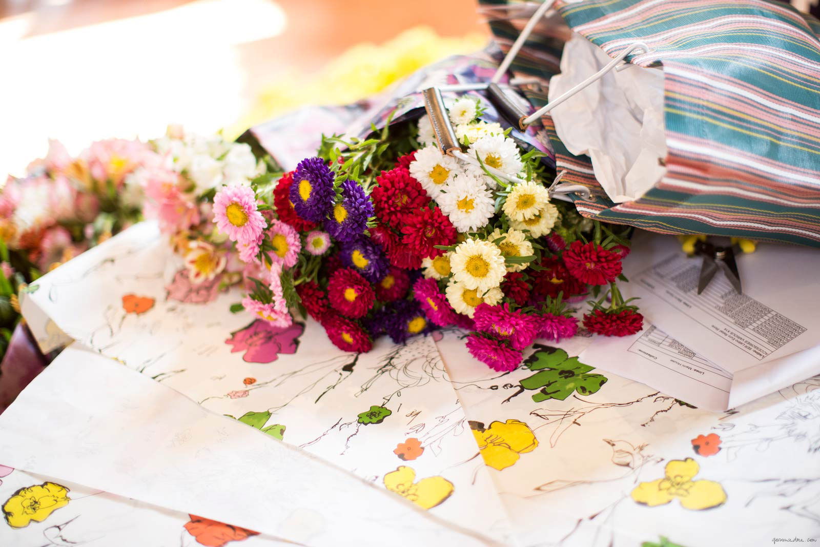 marni-flower-market-1895_1600px_cover