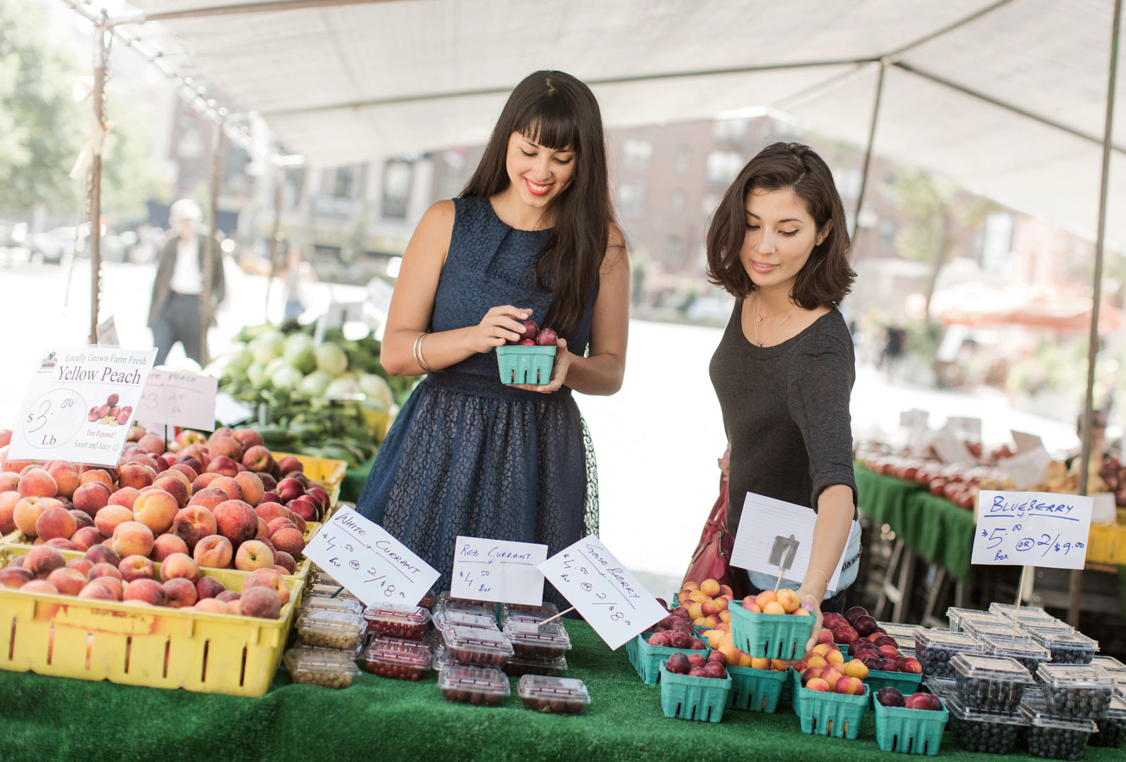 hemsley-and-hemsley_garance-dore_main